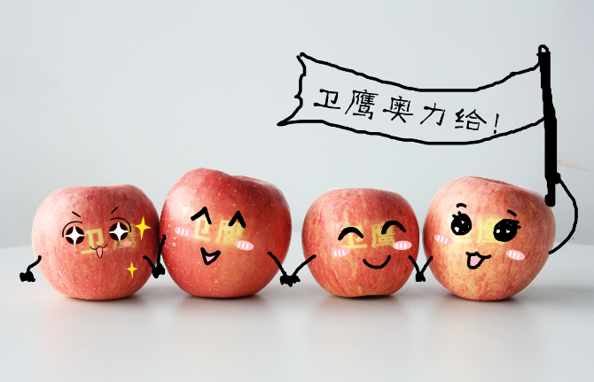 衛(wèi)鷹