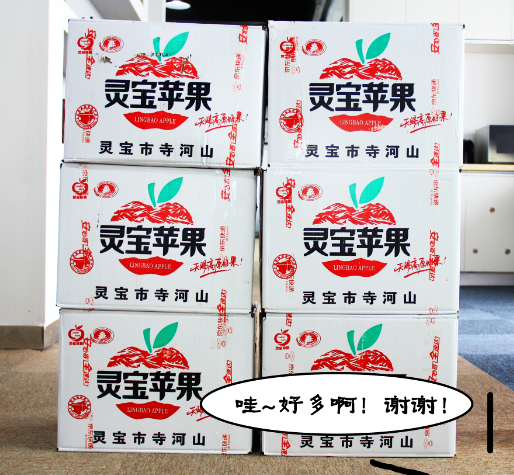衛(wèi)鷹