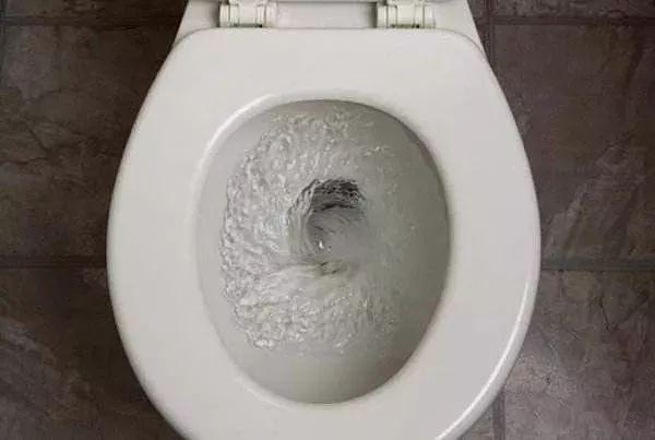 商用智能馬桶蓋