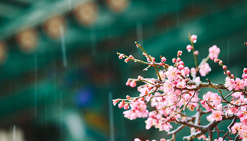 驚蟄