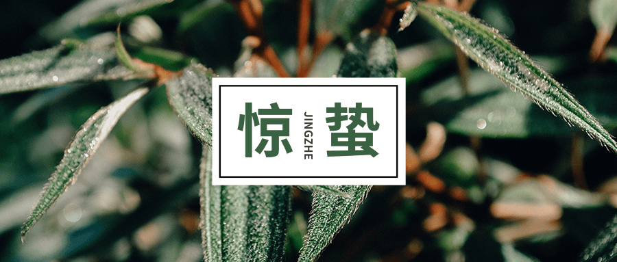 驚蟄