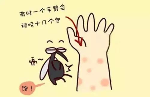 蚊蠅