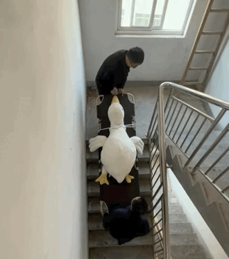 衛(wèi)鷹衛(wèi)潔墊