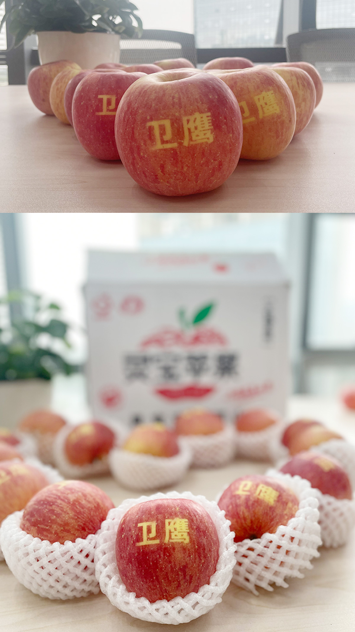 衛(wèi)鷹衛(wèi)潔墊