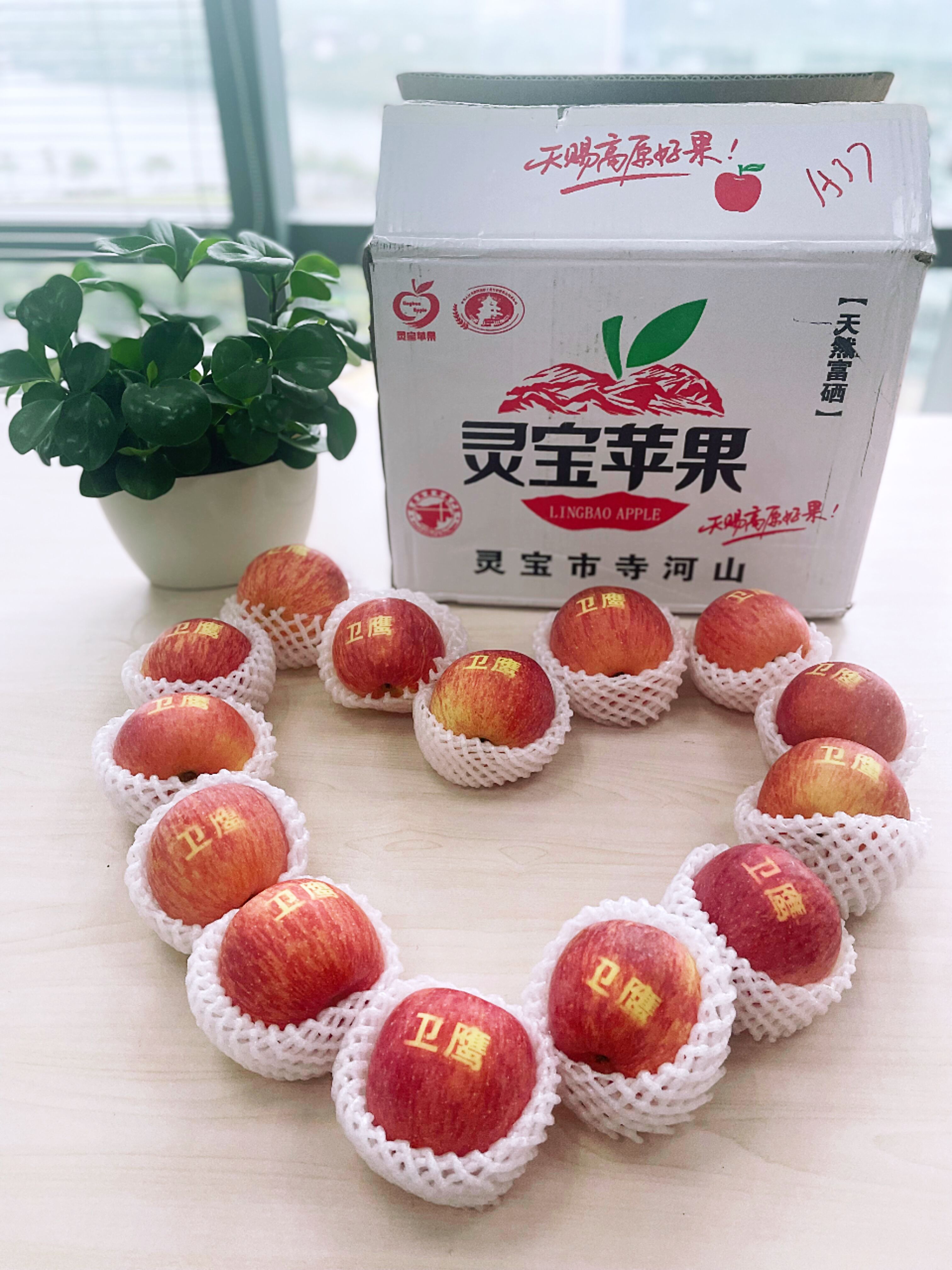 衛(wèi)鷹衛(wèi)潔墊