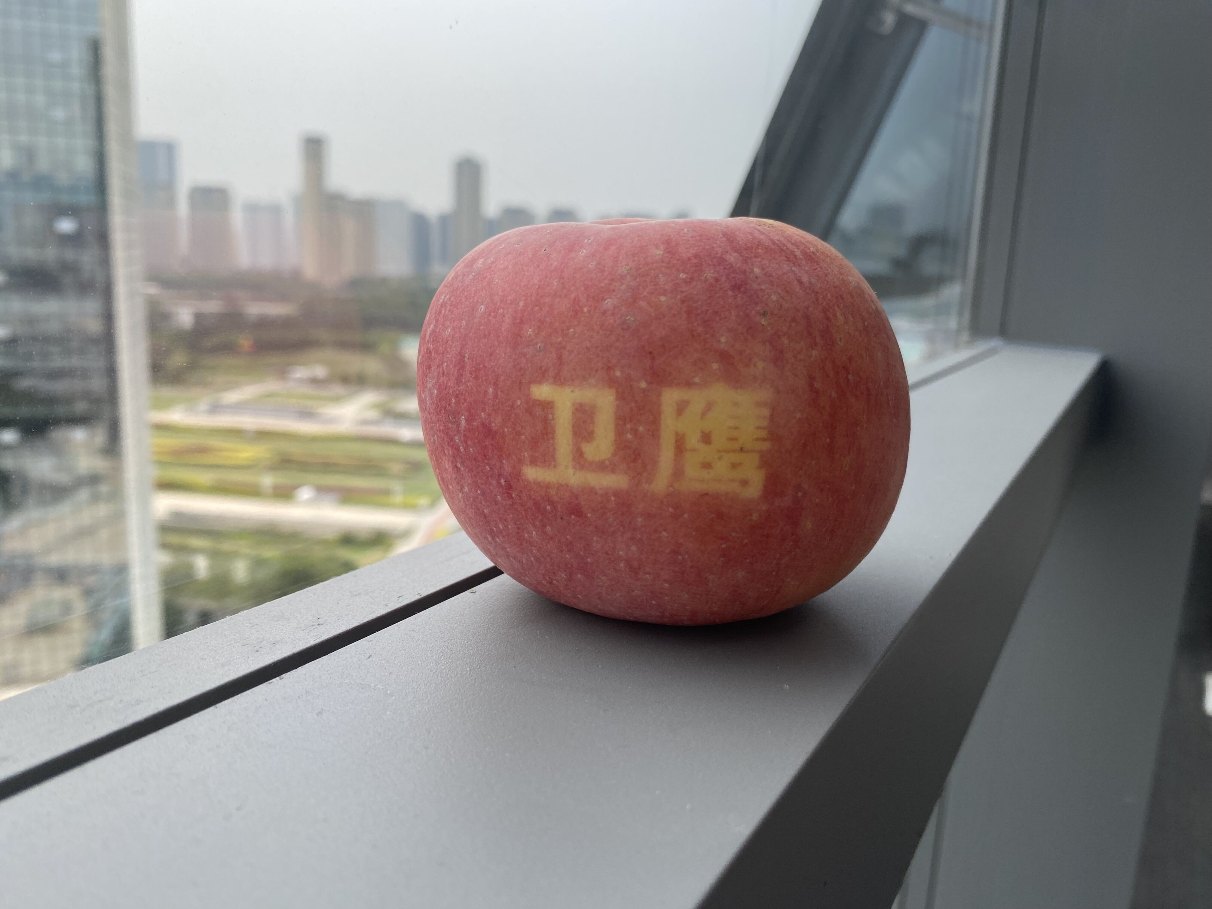 衛(wèi)鷹衛(wèi)潔墊