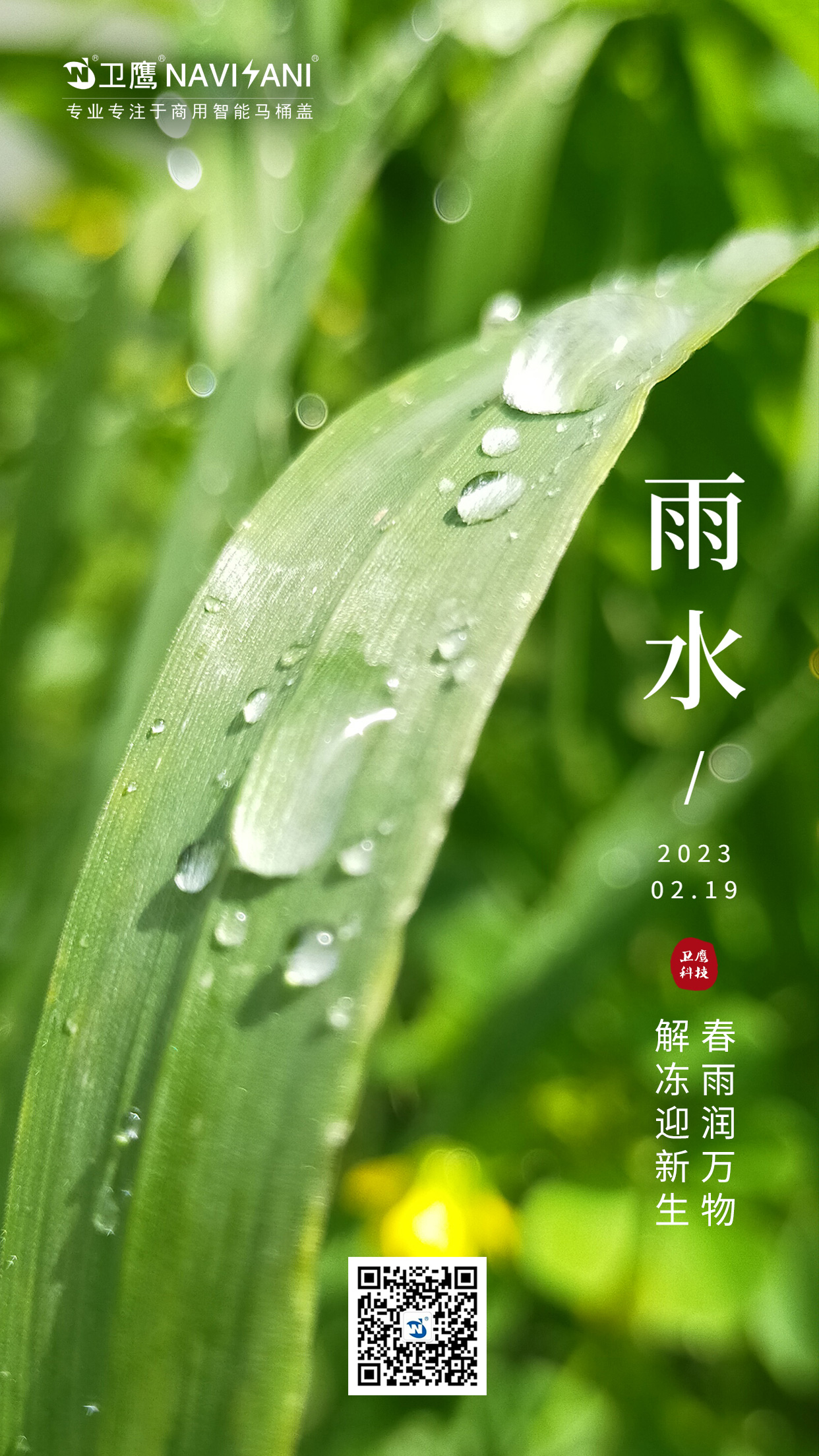 衛(wèi)鷹